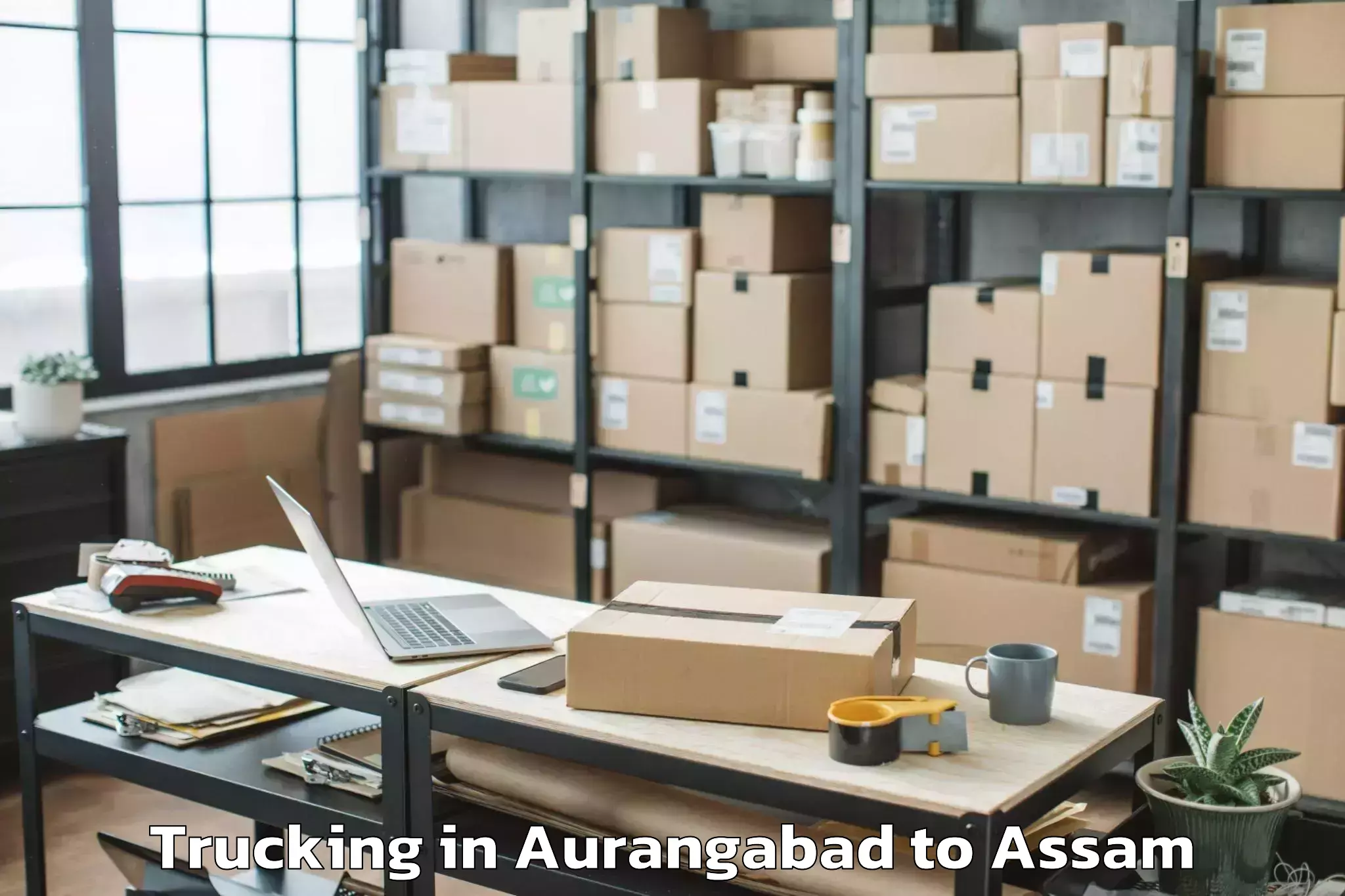 Book Aurangabad to Mankachar Trucking Online